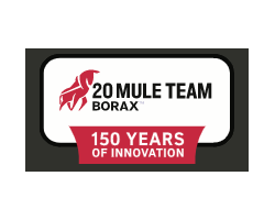 Image representing 20 MULE TEAM BORAX LOGO1